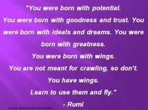 You Have Wings, Learn To Use Them and Fly