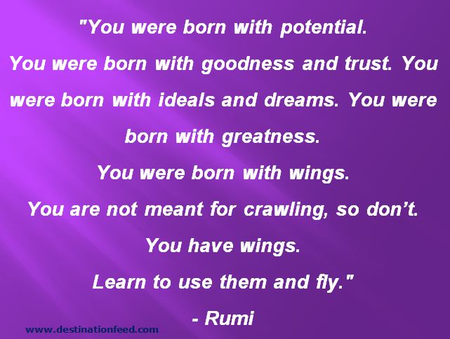 You have wings, learn to use them and fly