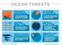 Ocean Threat Infographic