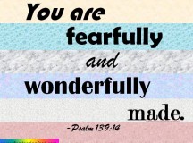 You are Fearfully and Wonderfully Made