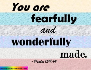 You are fearfully and wonderfully made | Destination FEED