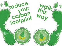 8 Practical Ways On How to Reduce our Carbon Footprint