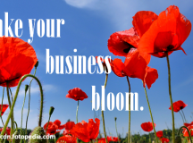 8 Tips To Make Your Business Bloom