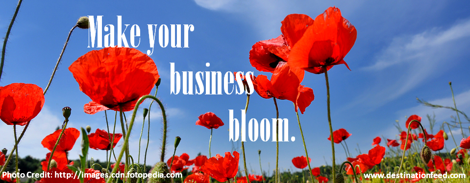 8 Tips to make your Business Bloom