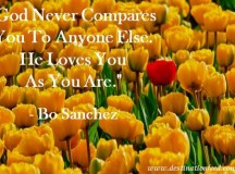 Quote for the Day: God Never Compares You To Anyone Else