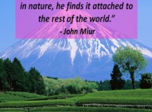 Quote for the Day: One with Nature