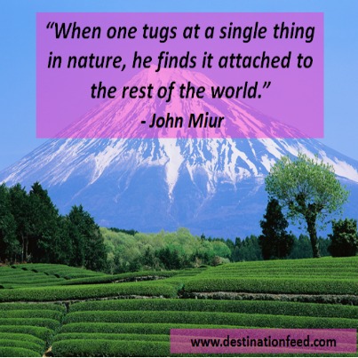 Quote for the Day: One with Nature