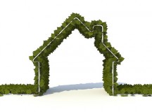 Top 5 Tips For A Greener Home