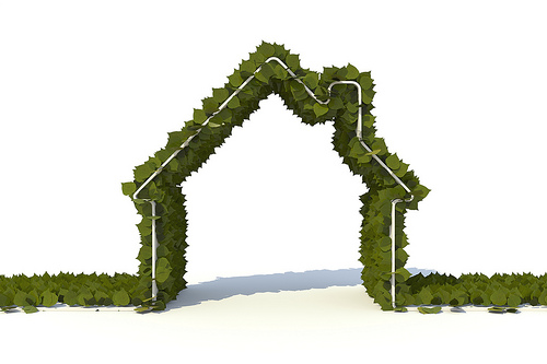 Top 5 Tips For A Greener Home