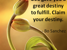 Quote for the Day: Claim your destiny