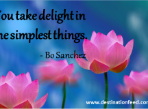 Quote of the Day: The simplest things