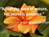 Quote for the Day: Pace of nature
