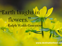 Quote of the Day: Earth Laughs