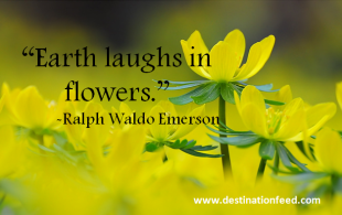 Quote of the Day: Earth Laughs