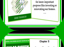 Sneak peak of the book “The 5S System of Handling Cash” – Infographics